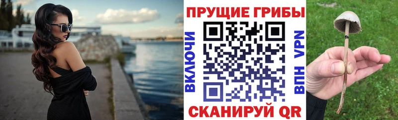 Галлюциногенные грибы Cubensis  Сретенск 